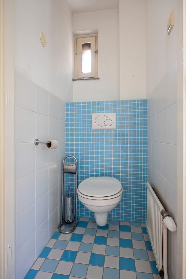 Foto 24 van Koningsvaren 105