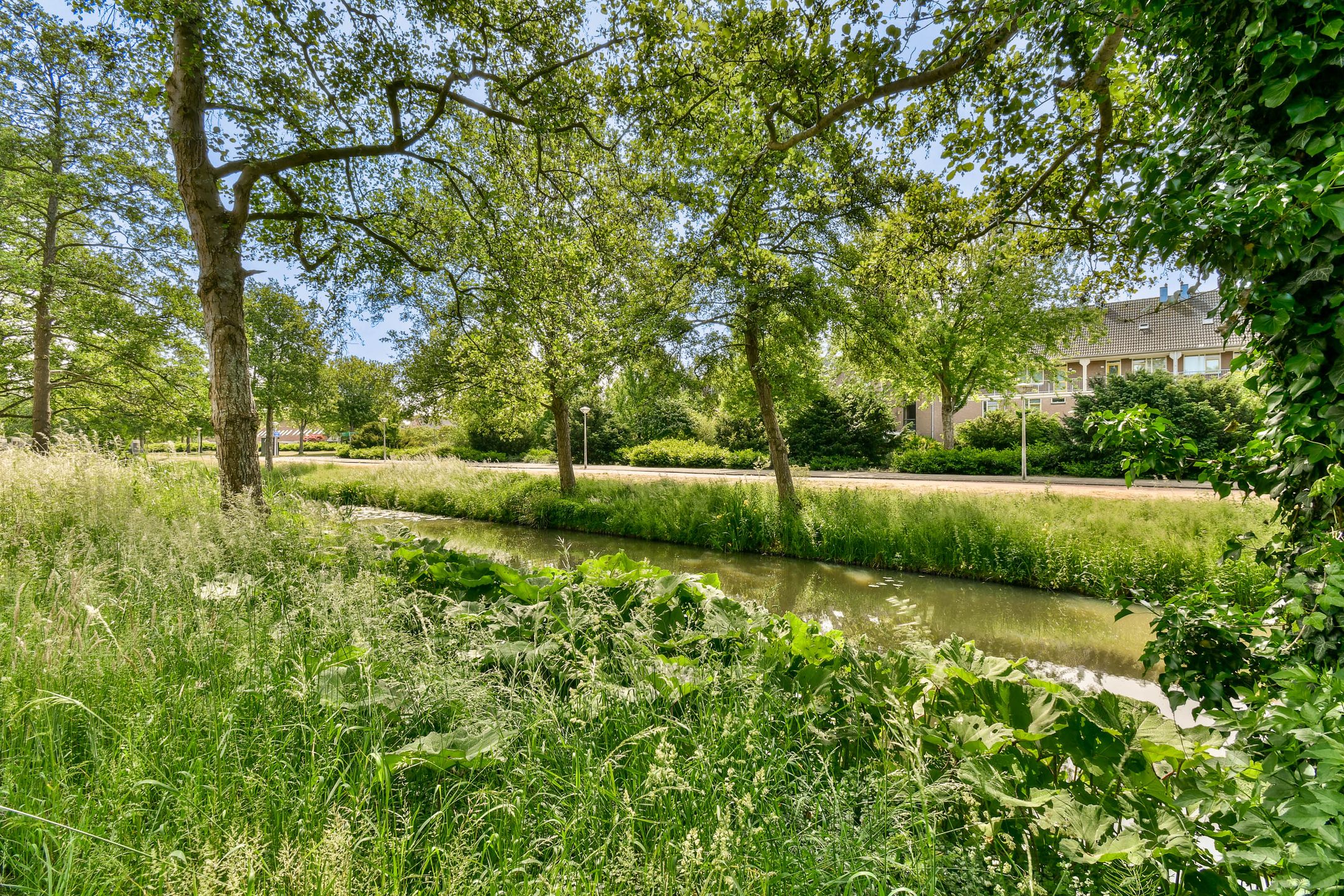 Photo 15 of Wethouder De Roosplein 166