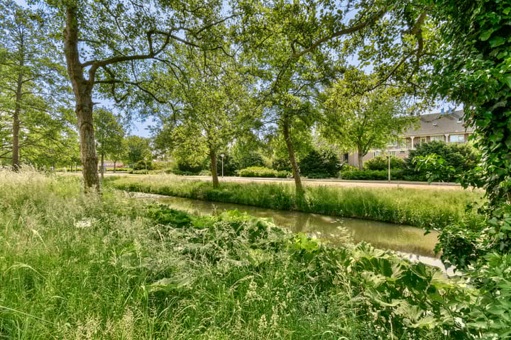 Foto 15 van Wethouder De Roosplein 166