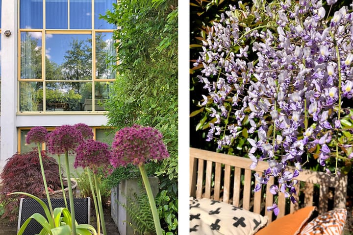 Foto 30 van Merkelbachlaan 9