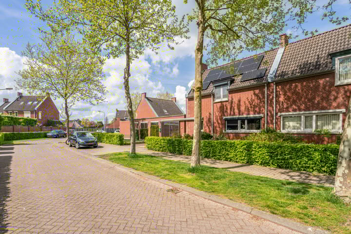 Photo 41 of Heidebeemd 3