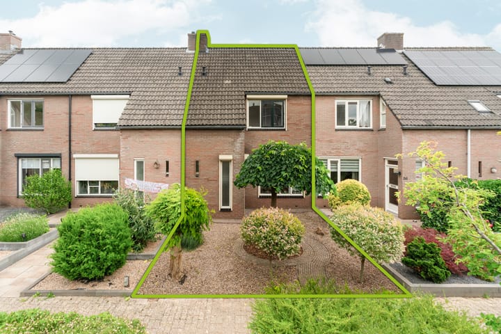 undefined main image