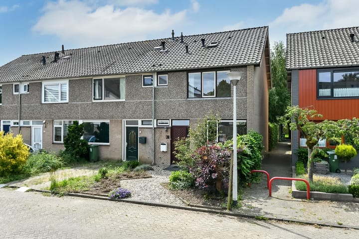 undefined main image