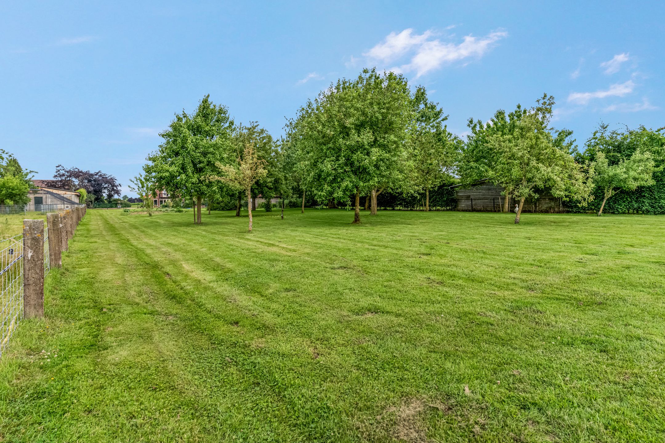 Foto 54 van Smidstraat 16