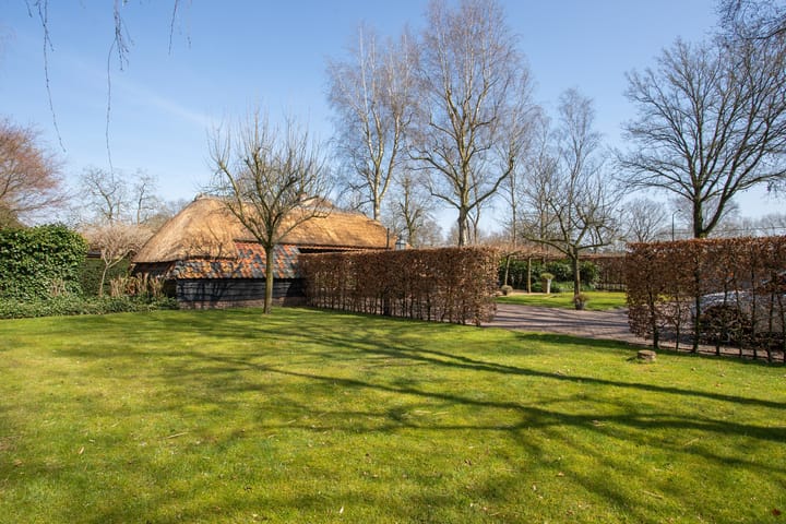 Photo 37 of Pikoreistraat 6-A