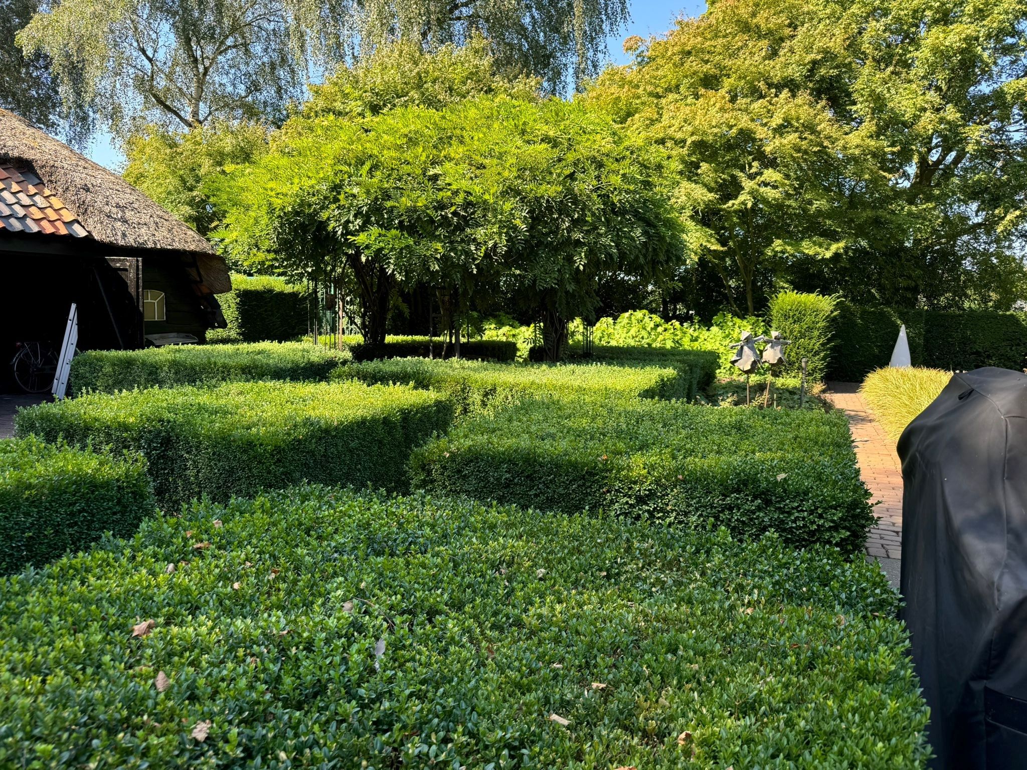 Foto 42 van Pikoreistraat 6-A