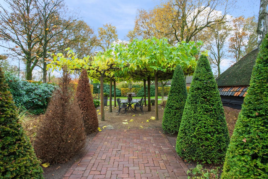 Foto 43 van Pikoreistraat 6-A