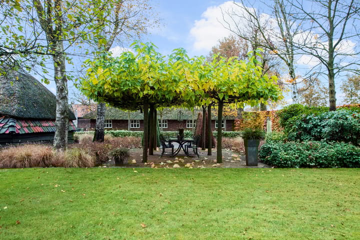 Photo 44 of Pikoreistraat 6-A