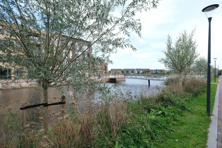 Photo 31 of Henrick Lamkade 38