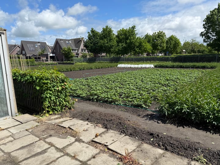 Foto 13 van Kleis 137