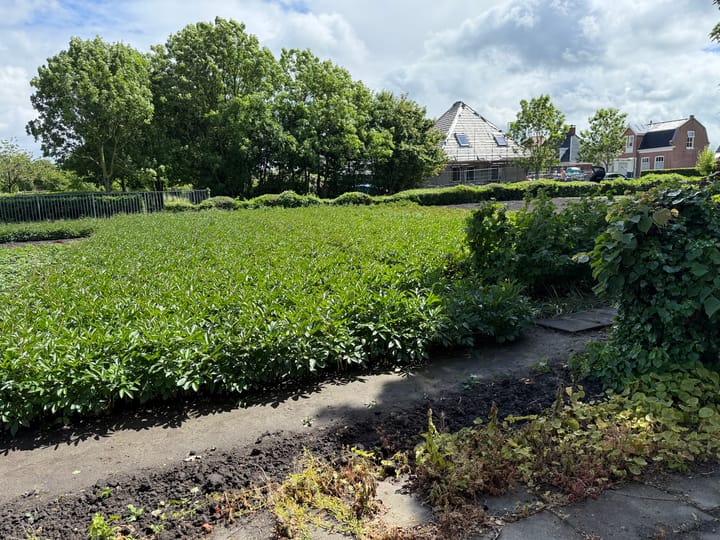 Foto 14 van Kleis 137