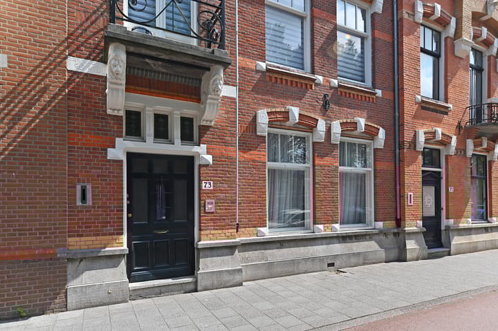 Foto 64 van Statenlaan 73