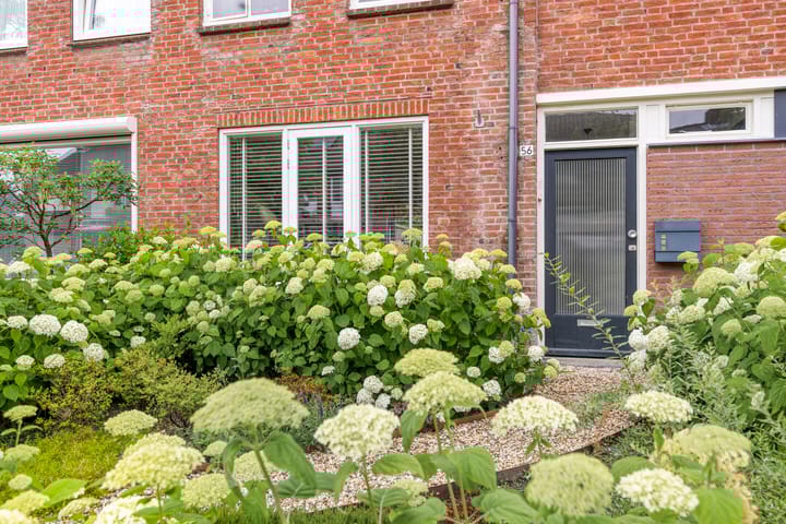 Foto 32 van Begoniastraat 56