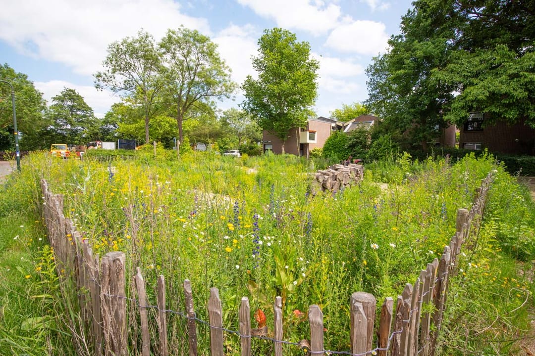 Foto 22 van Paardenmarkt 41