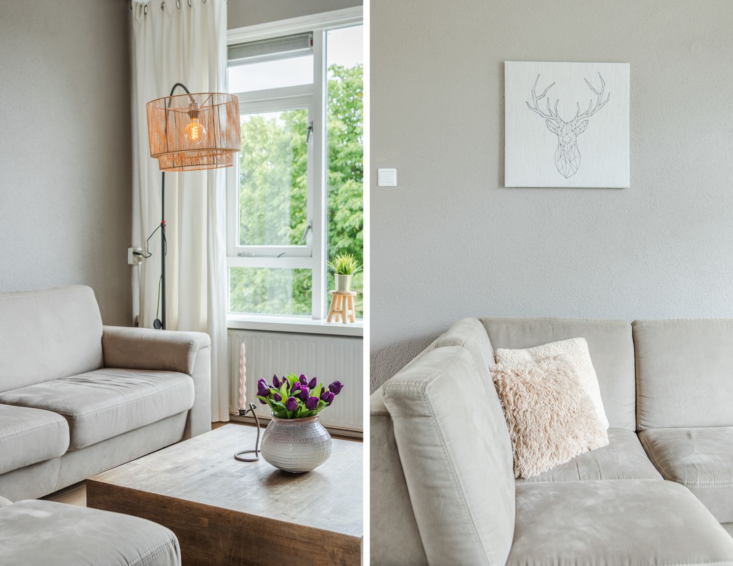 Foto 5 van Kanunnik Mijllinckstraat 42