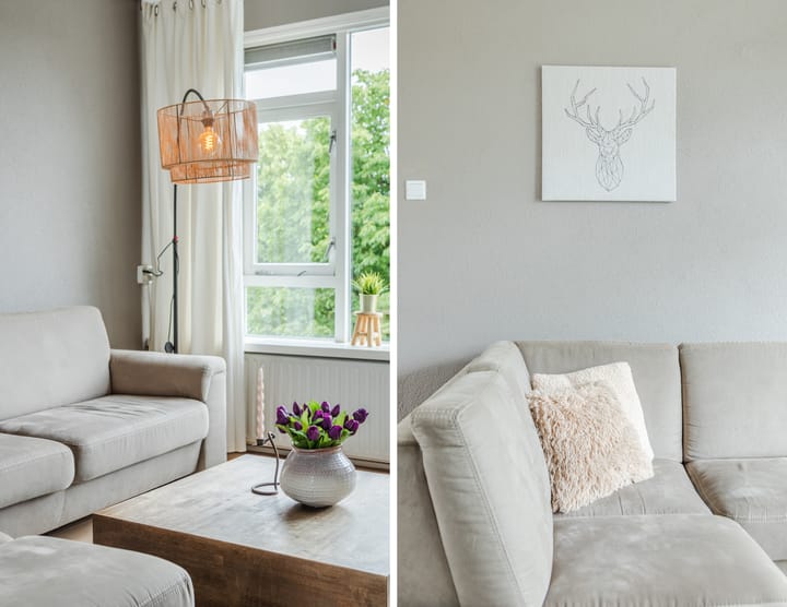 Foto 5 van Kanunnik Mijllinckstraat 42