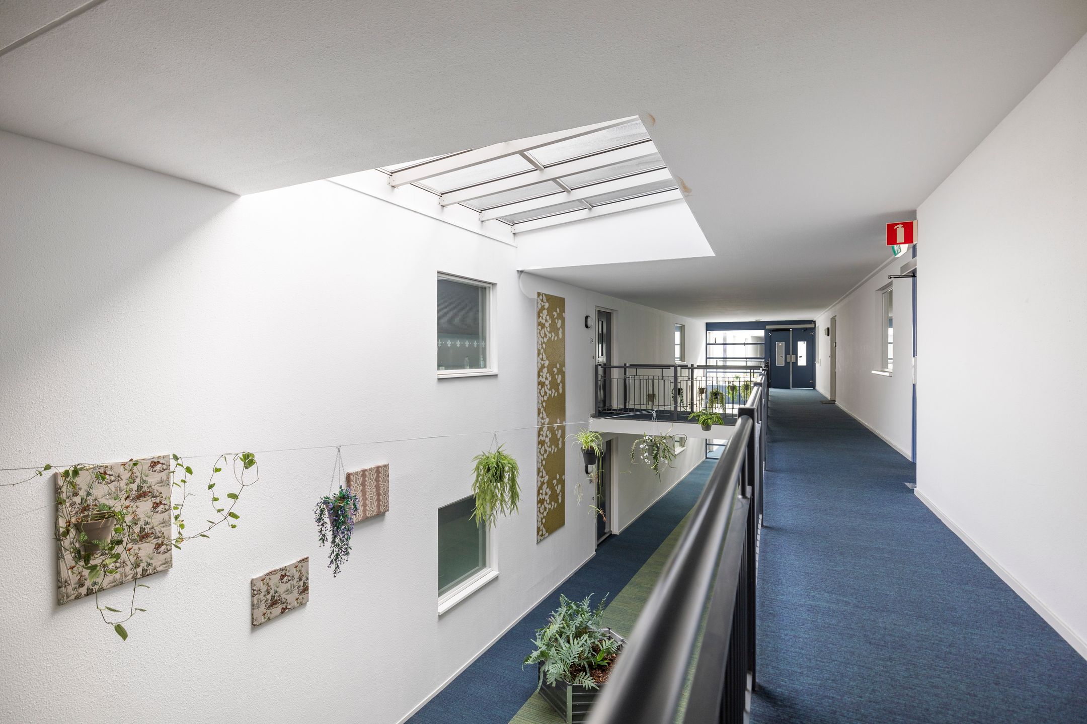 Foto 24 van Torenbosch 56