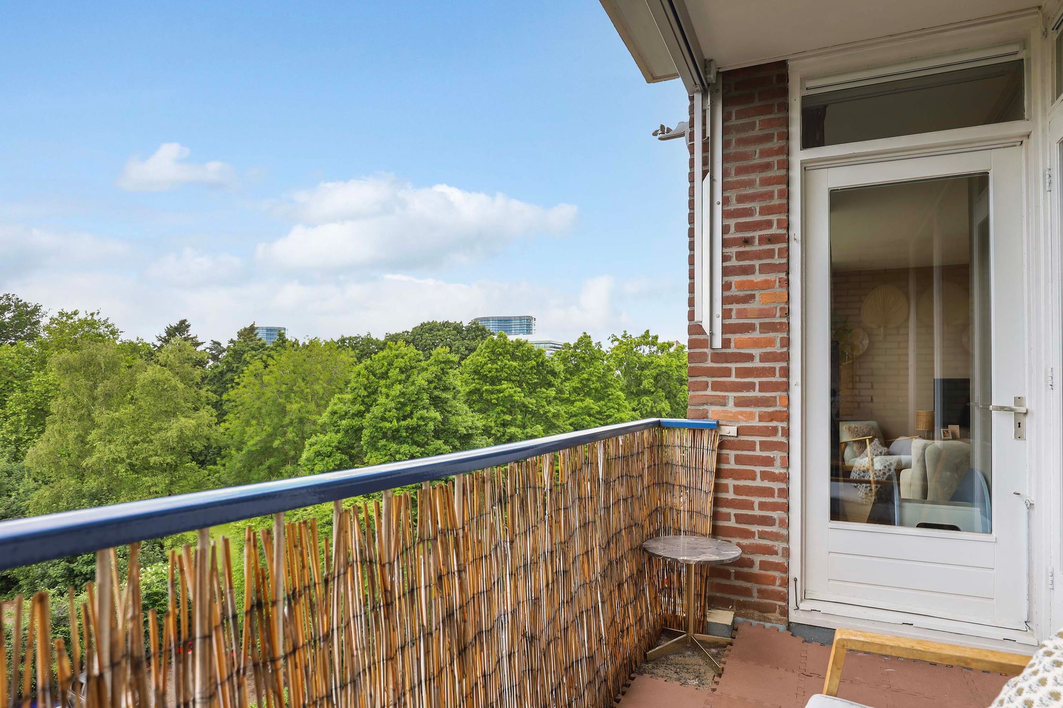 Foto 24 van Henri Dunantlaan 349