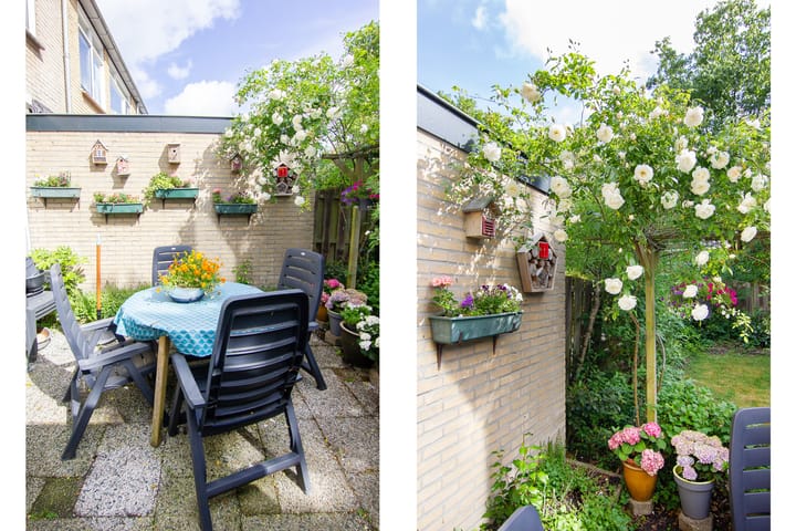 Foto 14 van Bertha von Suttnerstraat 49