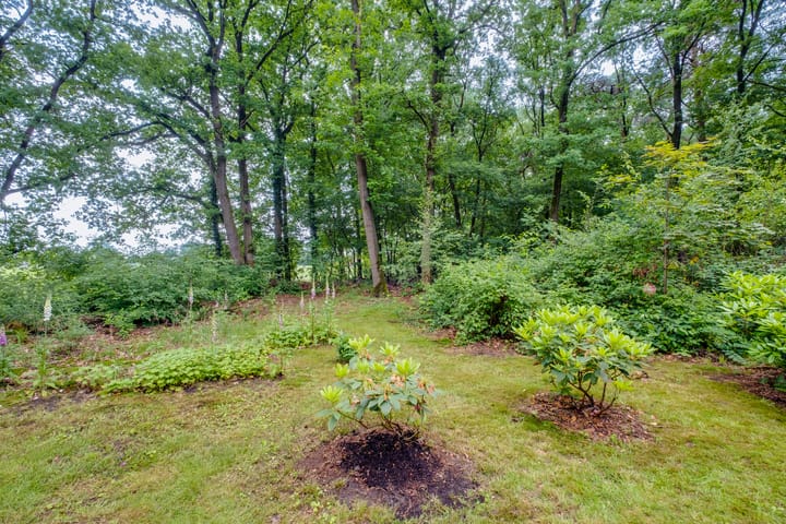 Photo 18 of Doktersdijk 2-H10