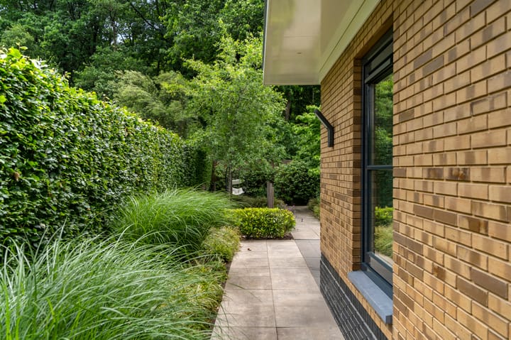 Foto 48 van Compagnie 17