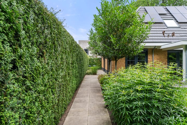 Foto 49 van Compagnie 17