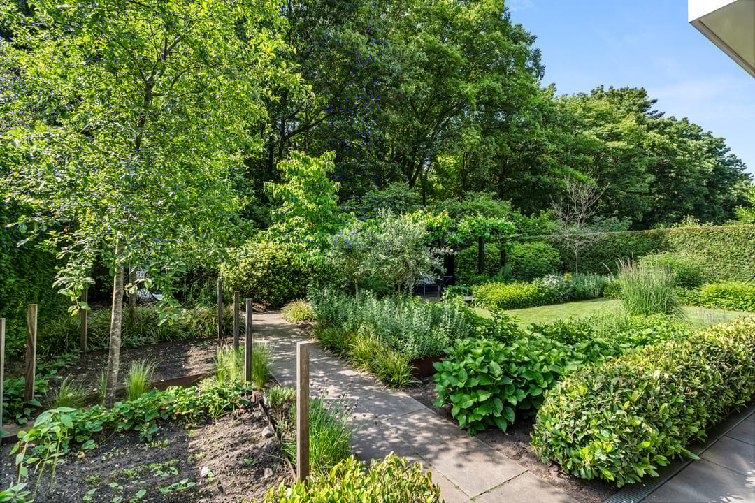 Foto 61 van Compagnie 17