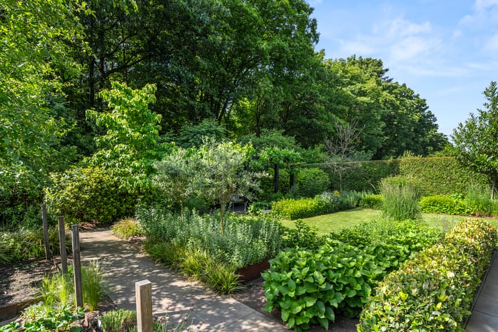 Foto 62 van Compagnie 17