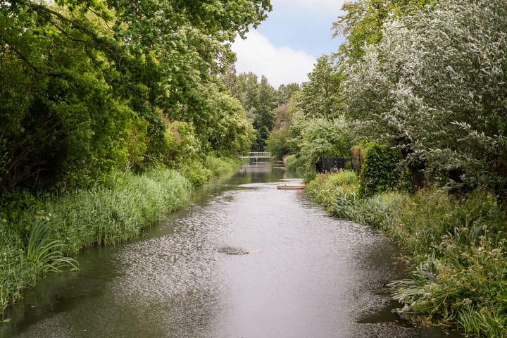 Foto 58 van Halmaheiraplein 2