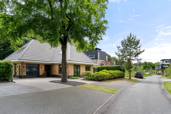 Foto 65 van Compagnie 17