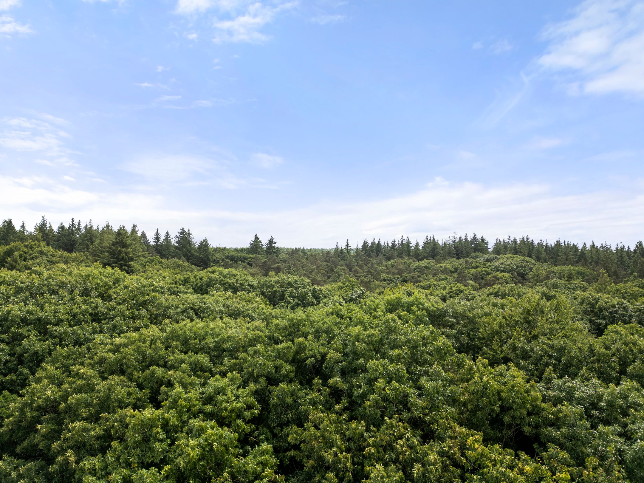 Foto 72 van Compagnie 17