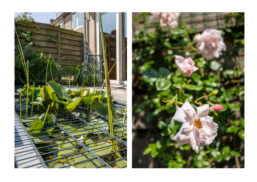 Foto 31 van Cornelia de Langelaan 23