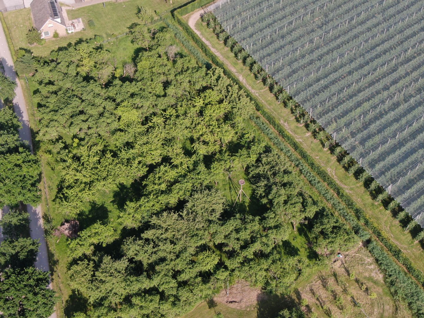 Photo 5 of Molenstraat 17