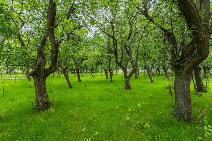 Foto 15 van Molenstraat 17