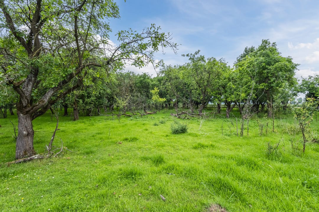 Photo 16 of Molenstraat 17