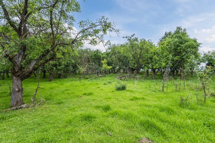 Foto 16 van Molenstraat 17