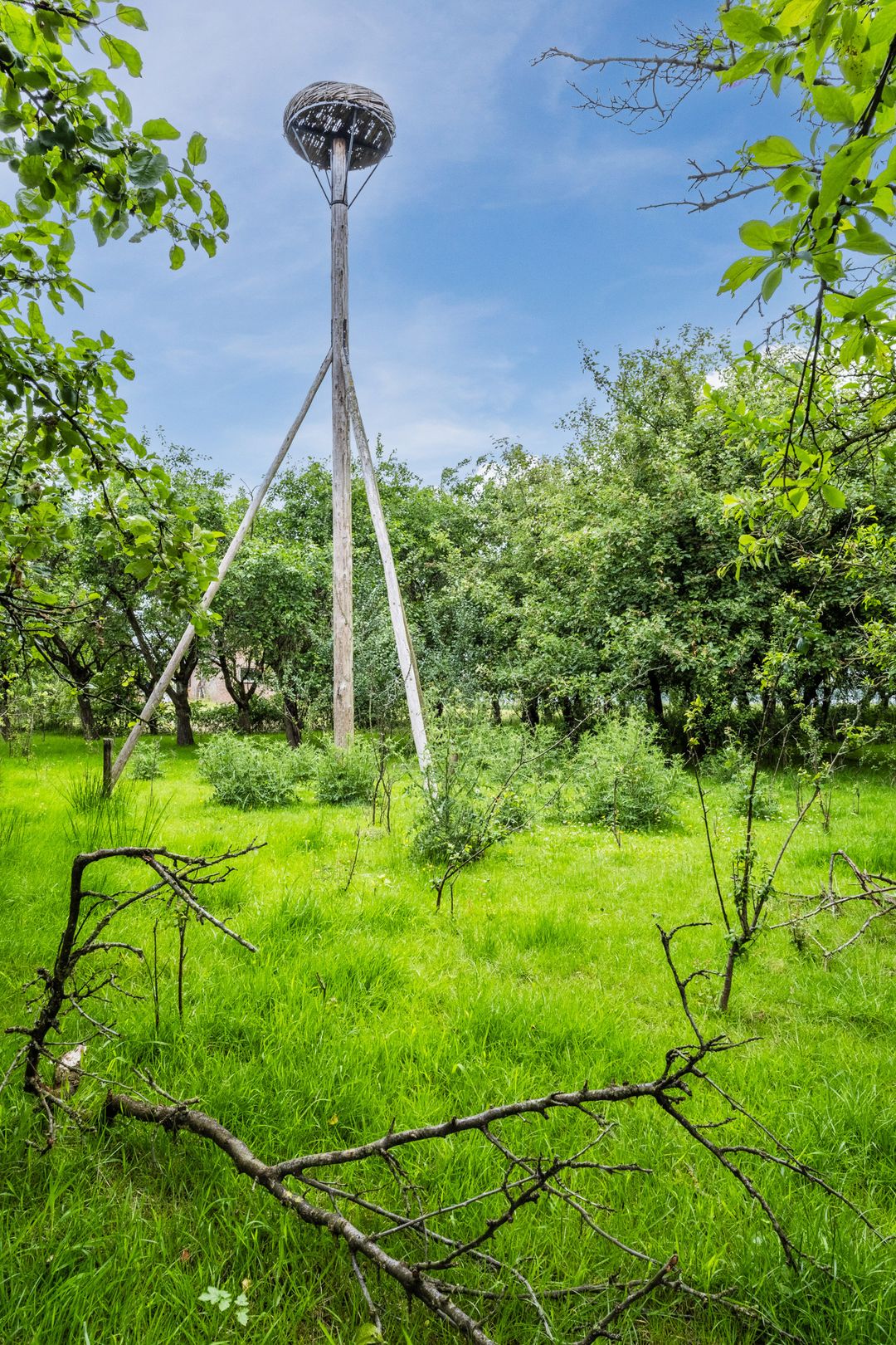 Photo 17 of Molenstraat 17