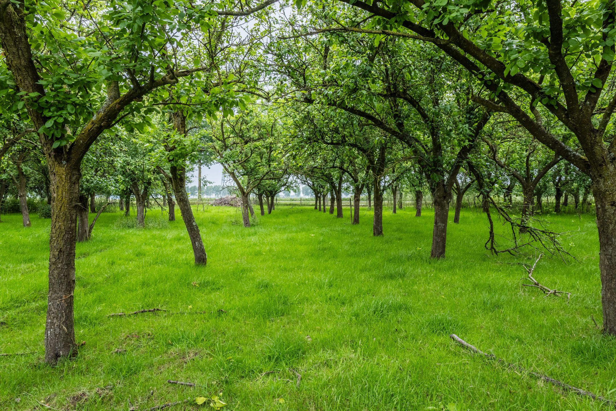 Photo 18 of Molenstraat 17