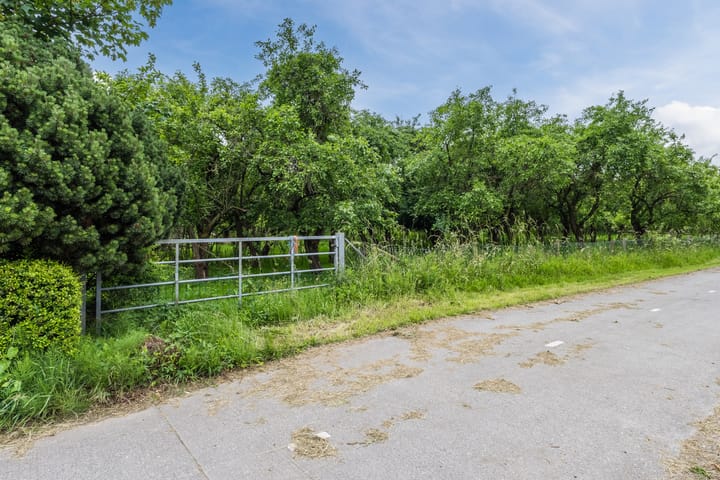 Foto 19 van Molenstraat 17