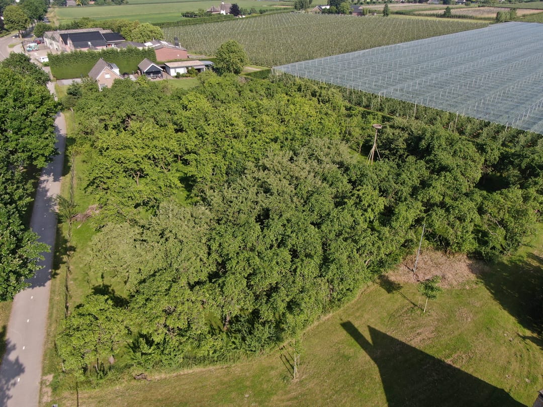 Photo 23 of Molenstraat 17