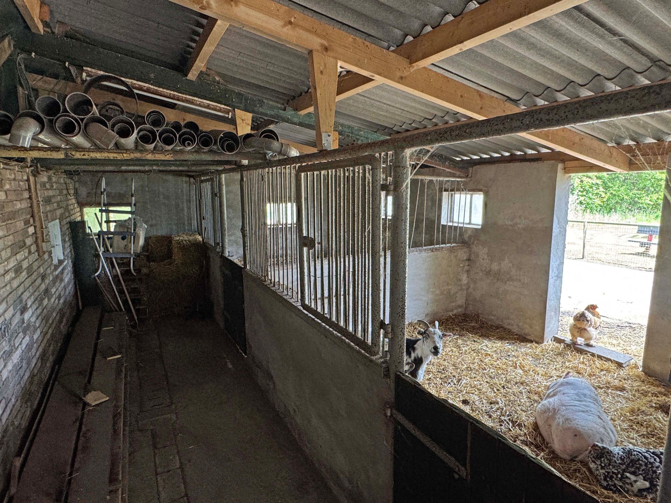 Foto 33 van Nieuwe Dijk 15-A