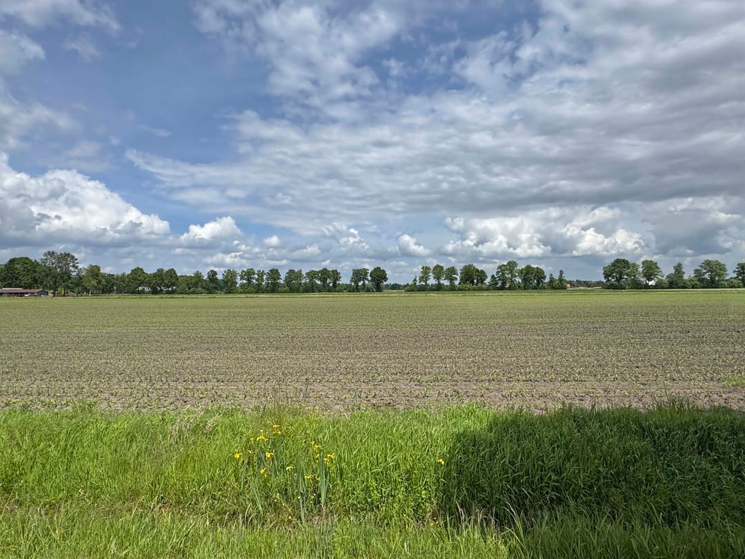 Foto 13 van Nieuwe Dijk 15-A