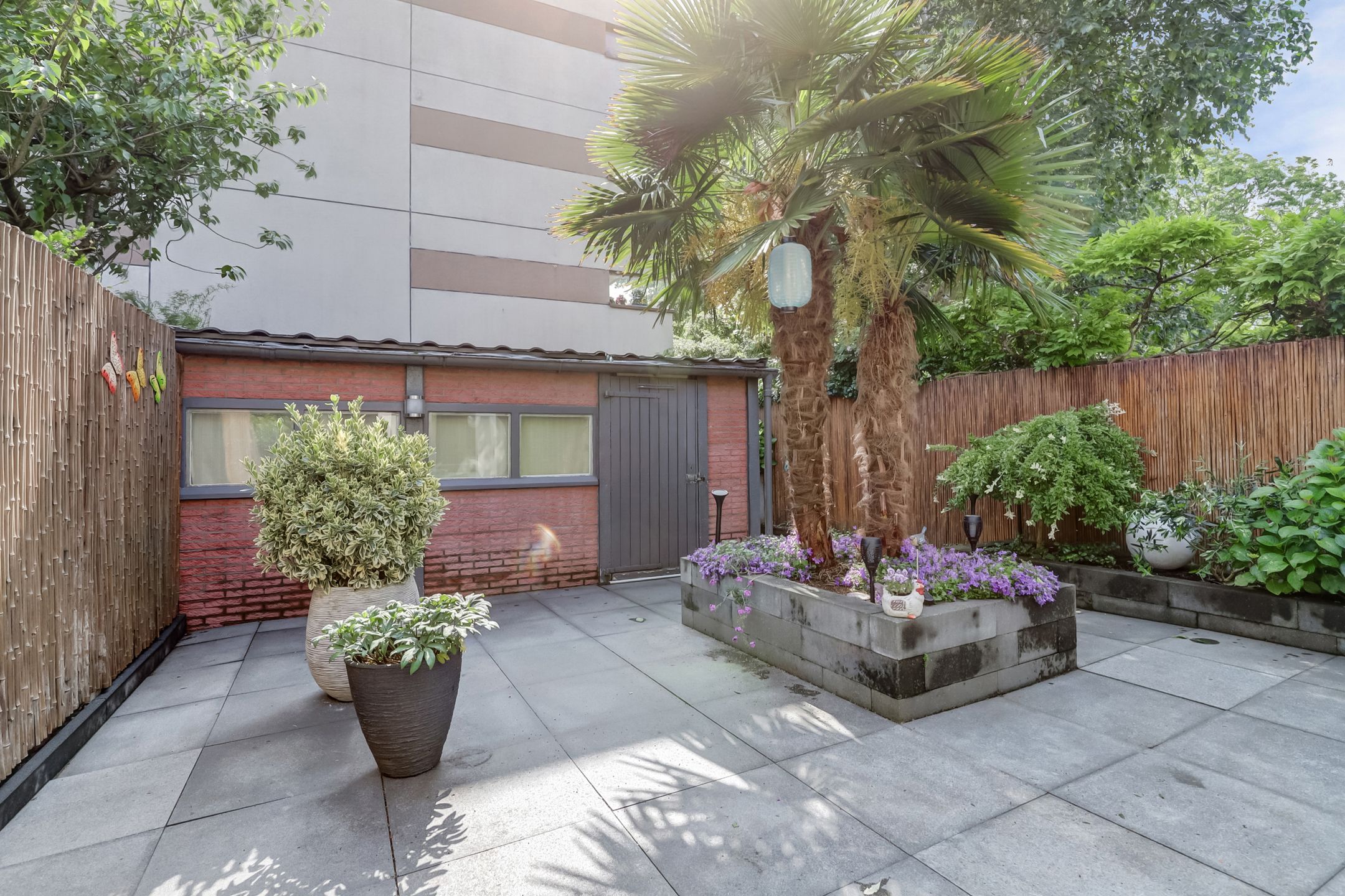 Foto 48 van Rozeboom 25