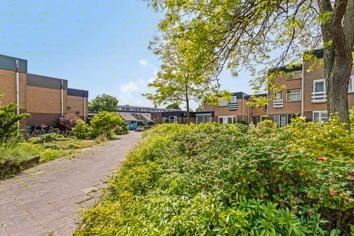 Photo 28 of Pijperpad 68