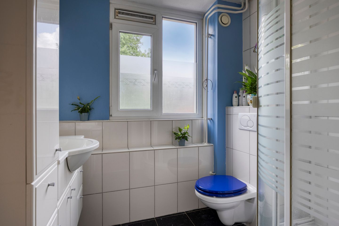 Foto 19 van Steenarend 20