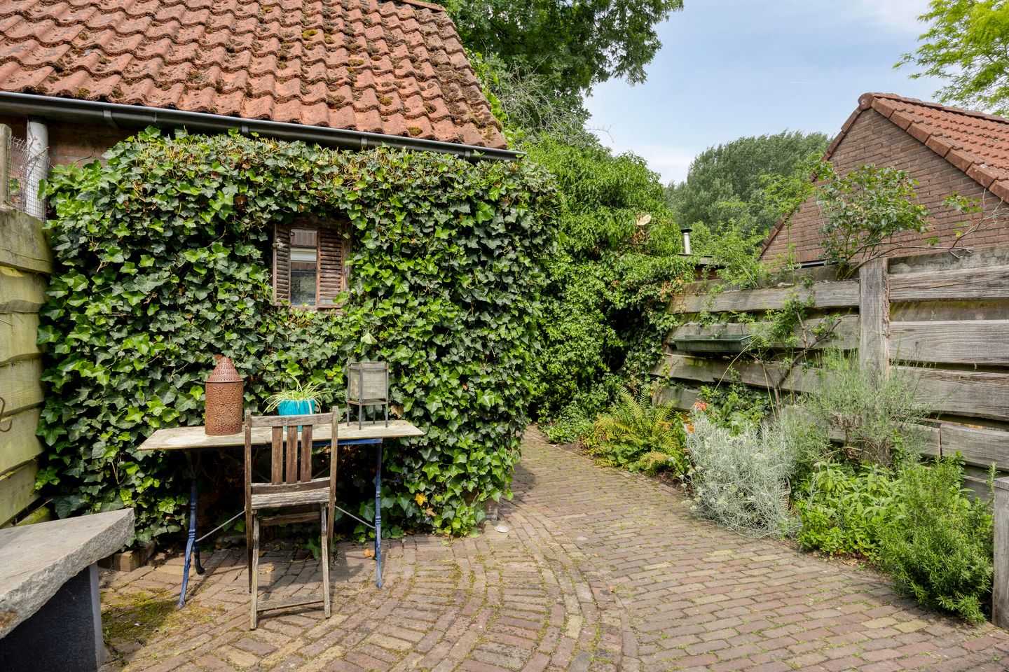 Foto 25 van Steenarend 20