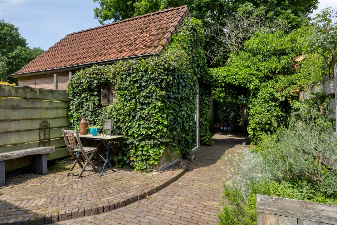 Foto 26 van Steenarend 20