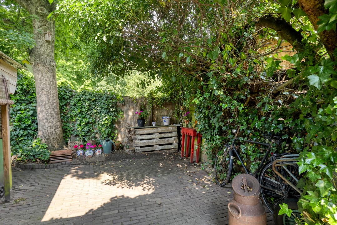 Foto 28 van Steenarend 20