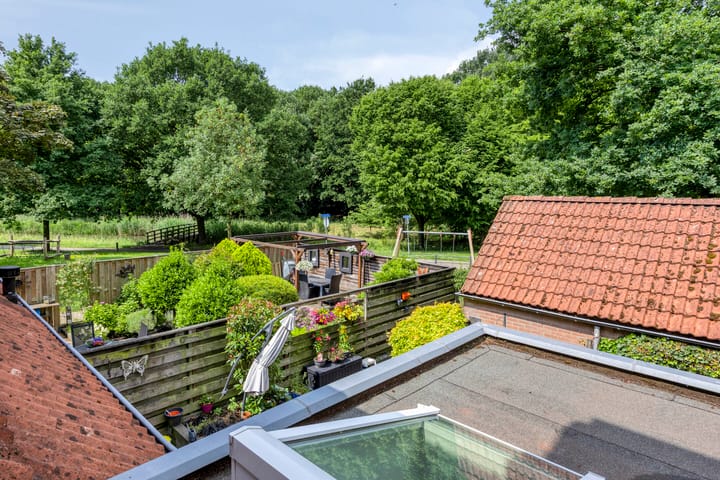 Foto 29 van Steenarend 20