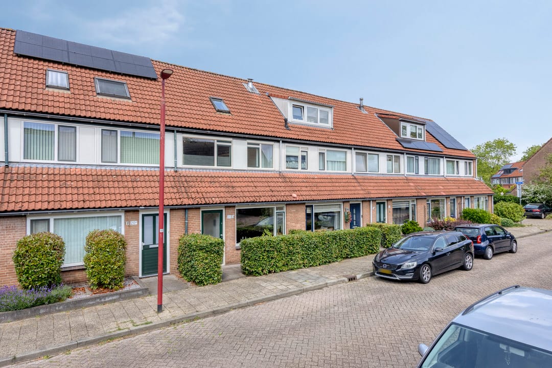 Foto 31 van Steenarend 20